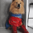 Ose_1337